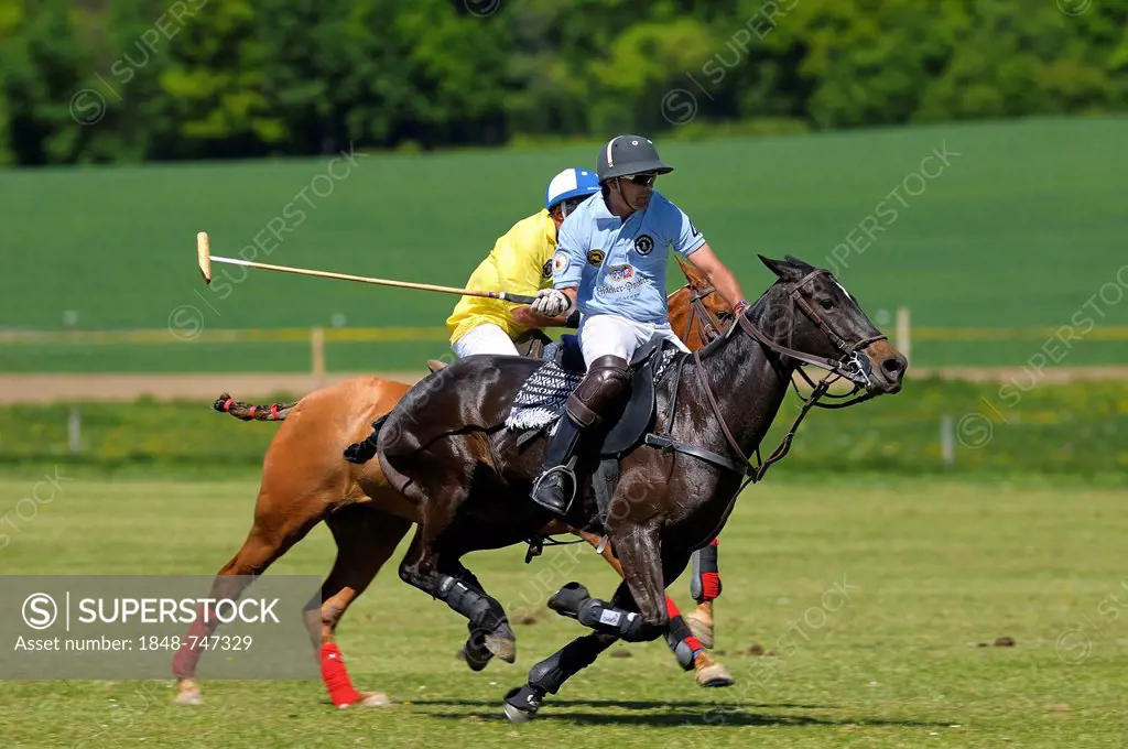 Edgardo Phagouape, a Team Hacker-Pschorr polo player being chased by an opposing player wearing a yellow jersey, Bucherer Polo Trophy 2011, Munich, Th...