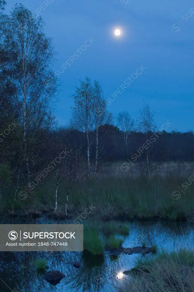 Full moon over the marsh, Wesuweermoor, Emsland, Lower Saxony, Germany, Europe