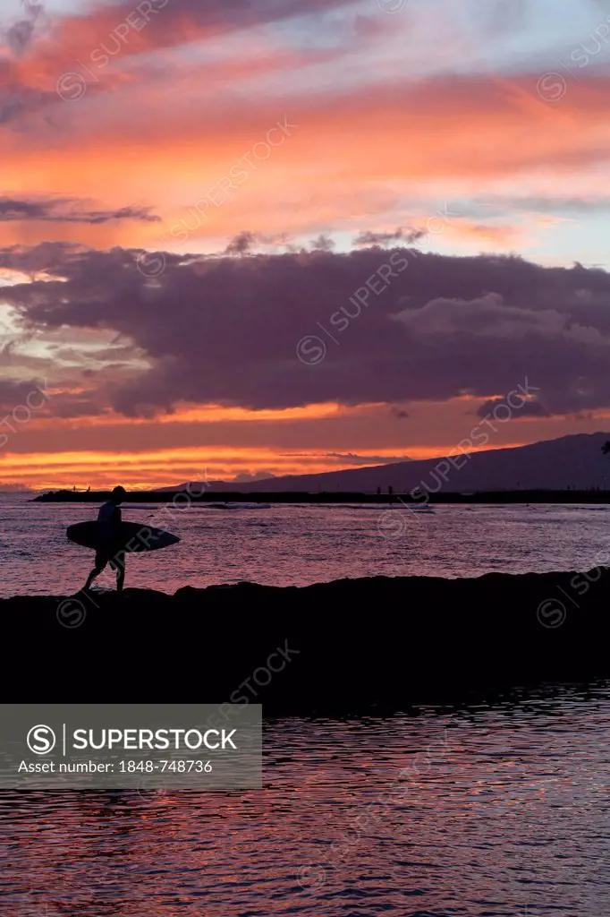 Sunset, surfer on his way home, Waikiki, Honolulu, O'ahu, Hawaii, USA