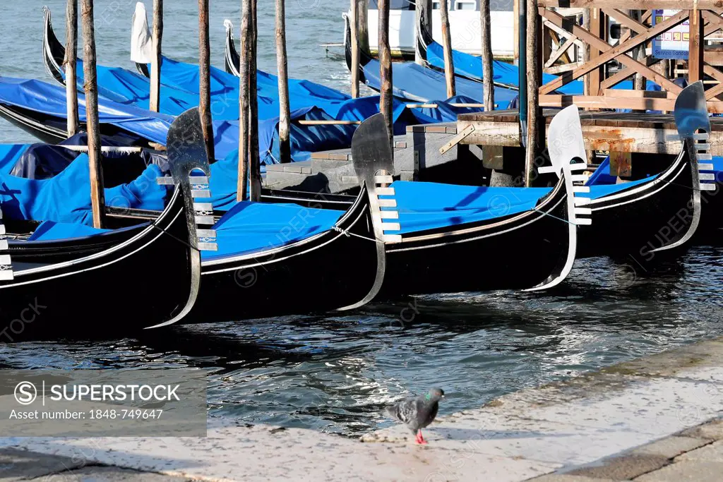 Gondolas, Grand Canal, San Marco district, Venice, Veneto, Italy, Europe
