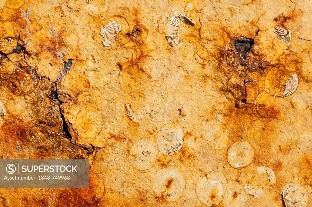 Metal surface with rust and remains of paint, detailed view
