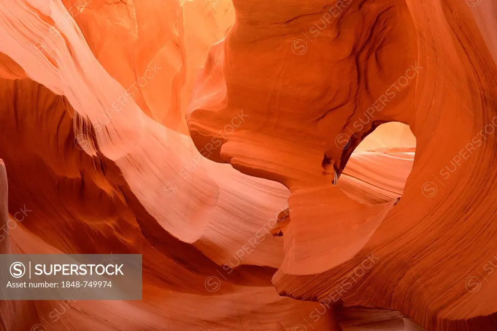 Red sandstone of the Moenkopi Formation, rock formations, colors and patterns, Lower Antelope Slot Canyon, Corkscrew Canyon, Page, Navajo Nation Reser...