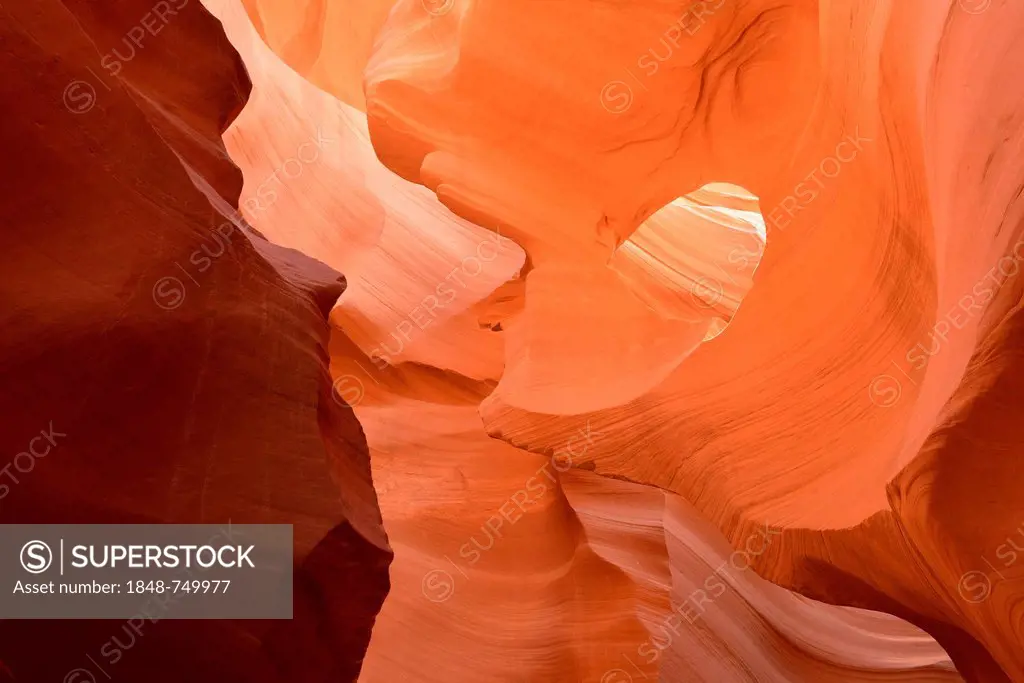 Red sandstone of the Moenkopi Formation, rock formations, colors and patterns, Lower Antelope Slot Canyon, Corkscrew Canyon, Page, Navajo Nation Reser...