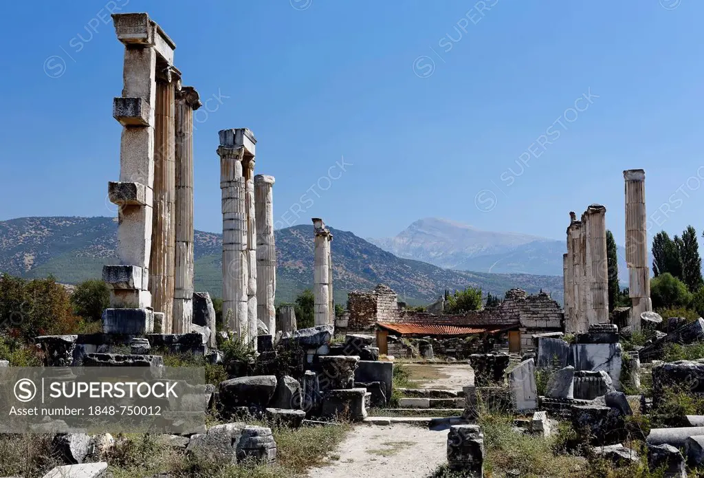 Remnants and columns at the Temple of Aphrodite, Aphrodisias, Geyre, Karacasu, Aydin, Western Turkey, Turkey, Asia