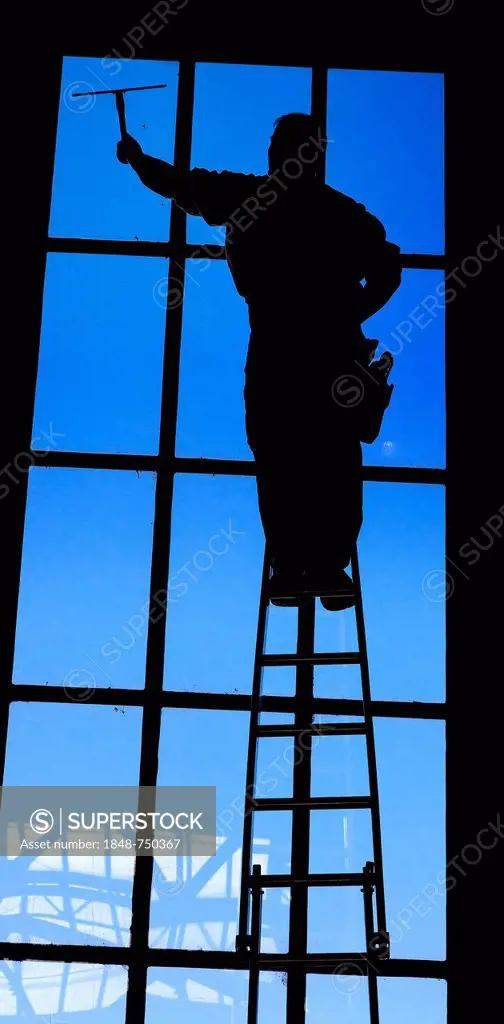 Window cleaner at work, Leipzig, Saxony, Germany, Europe