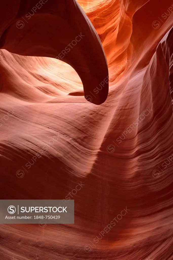 The Tongue rock formation, red sandstone of the Moenkopi Formation, colours and structures at Secret Slot Canyon, Page, Navajo Nation Reservation, Ari...