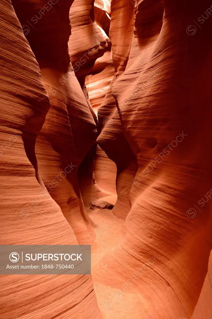 Red sandstone of the Moenkopi Formation, rock formation, colours and structures at Secret Slot Canyon, Page, Navajo Nation Reservation, Arizona, South...
