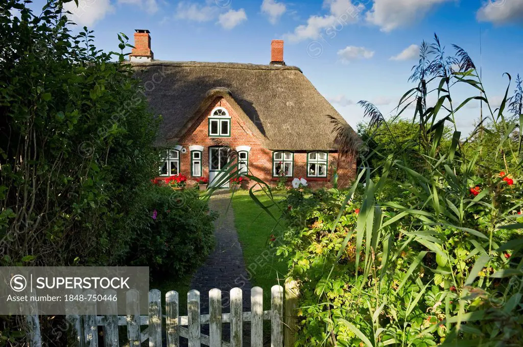 Old thatched cottage, Westerhever, Eiderstedt, North Frisia, Schleswig-Holstein, Germany, Europe