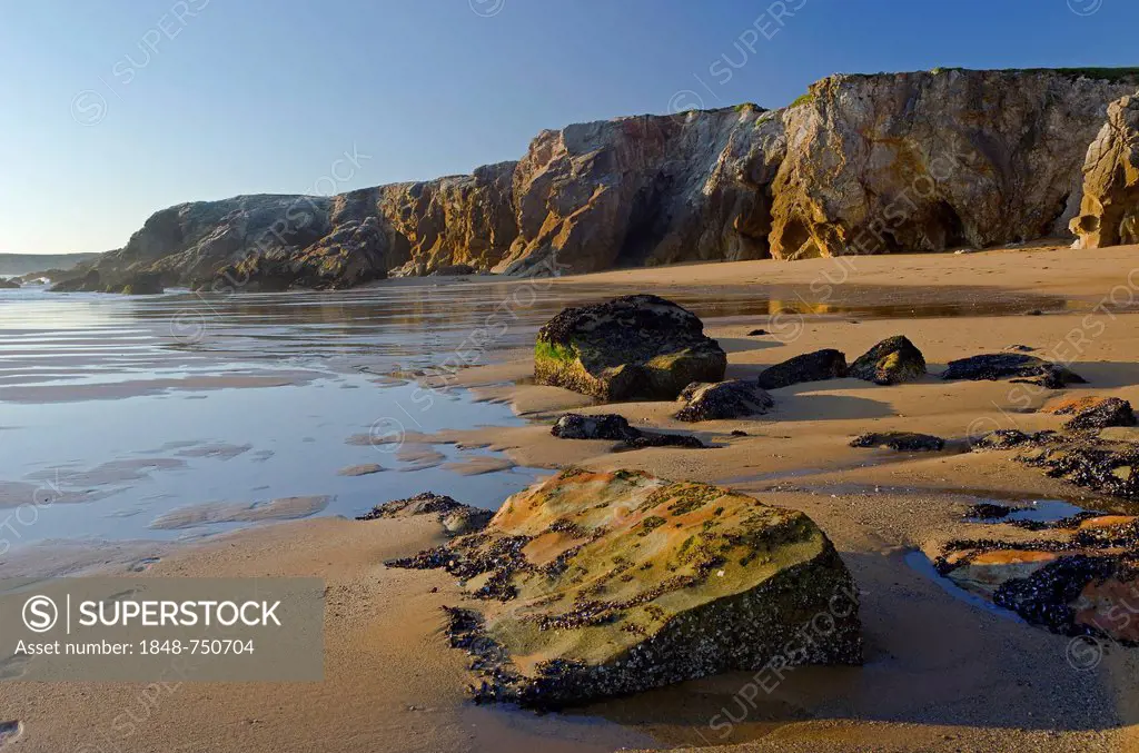 Cliffs and beach at the Côte Sauvage on the west side of the Quiberon peninsula, southern Brittany, Bretagne, France, Europe