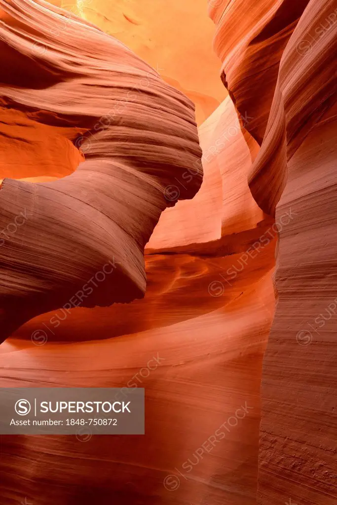 Lady in the Wind rock formation, red sandstone of the Moenkopi Formation, colors and patterns, Lower Antelope Slot Canyon, Corkscrew Canyon, Page, Nav...