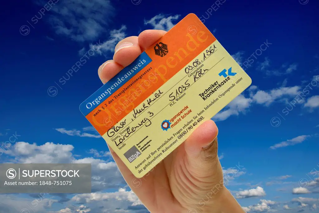 Hand holding an organ donor card, fake name, against a blue sky with some clouds, symbolic image for bearer of hope, organ donation