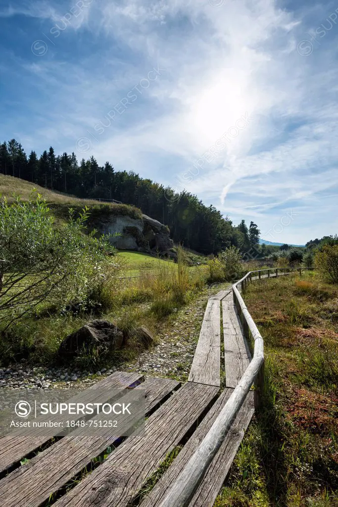 Reconstructed moorland region with a wooden boardwalk at Petersfels rock at the ice age park near Engen, Baden-Wuerttemberg, Germany, Europe