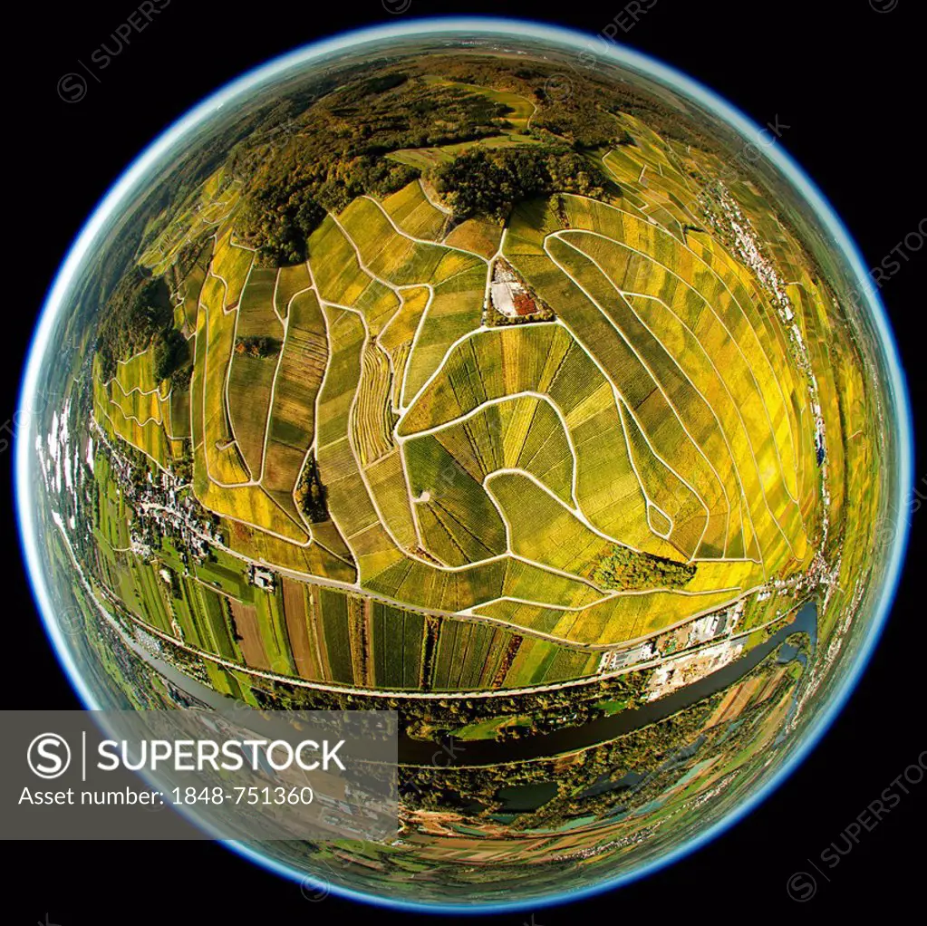 Aerial view, fisheye shot, autumnal vineyards in the Moselle valley on the Luxembourg side Wellenstein, Luxembourg, Europe