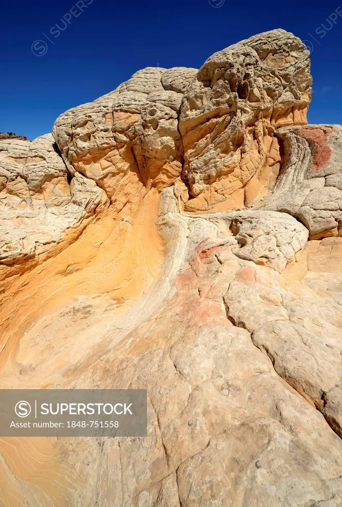Brain Rocks at White Pocket, eroded Navajo sandstone rocks with Liesegang bands or Liesegang rings, Pareah Paria Plateau, Vermillion Cliffs National M...