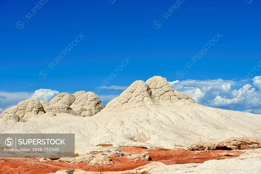Icing sugar, icing on Brain Rocks at White Pocket, eroded Navajo sandstone rocks with Liesegang bands or Liesegang rings, Pareah Paria Plateau, Vermil...