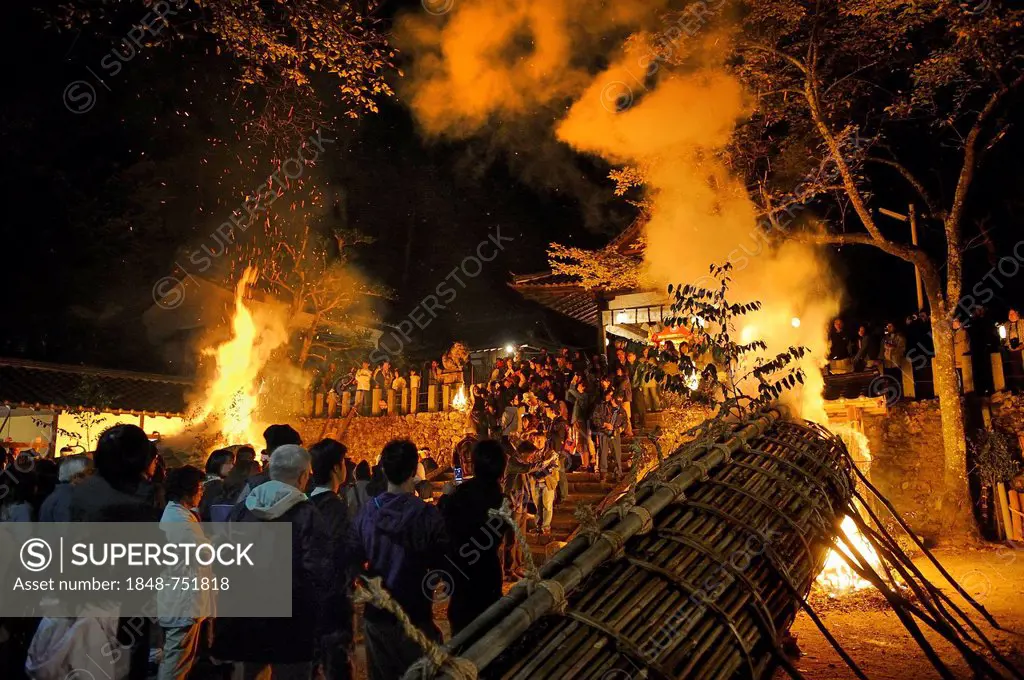 12 meters large bamboo torches are lit at the Shinto shrine at the Autumn Matsuri, religious festival, Iwakura in Kyoto, Japan, Asia
