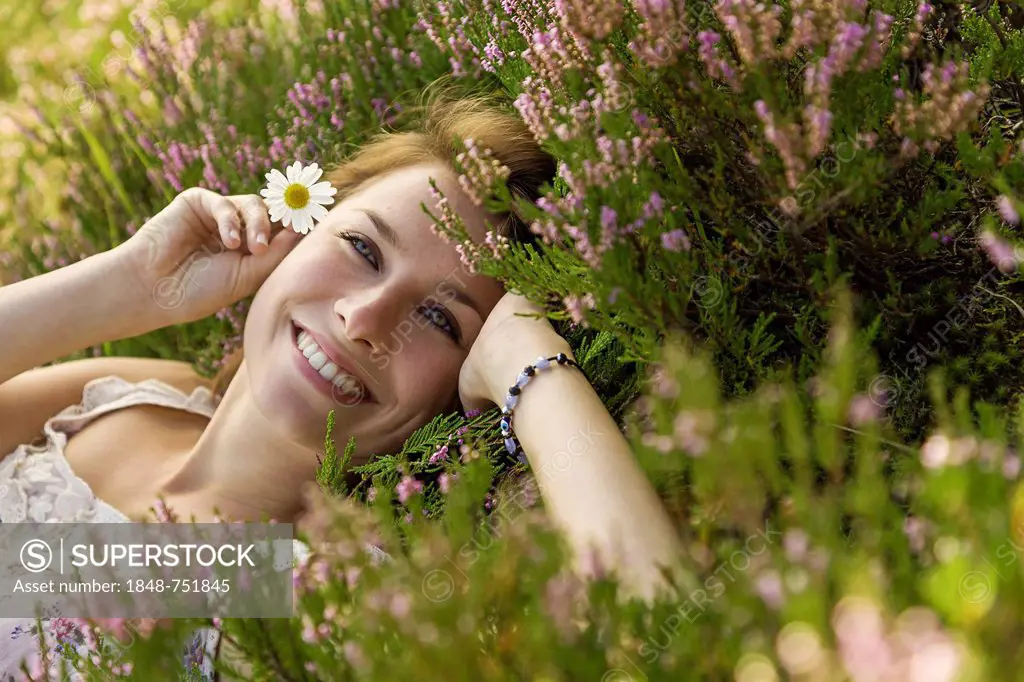 Young woman holding a daisy (Leucanthemum vulgare), lying on a heather carpet