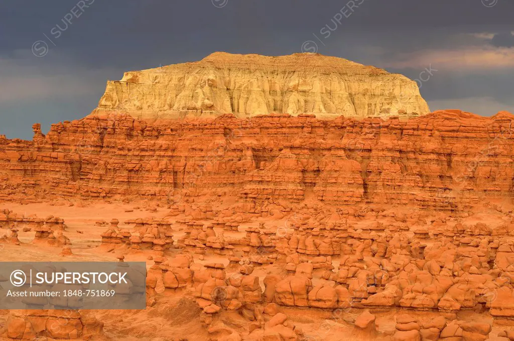 Wild Horse Mesa, eroded entrada sandstone hoodoos and rock formations, Goblins, Goblin Valley State Park, San Rafael Reef Desert, Utah, Southwestern U...