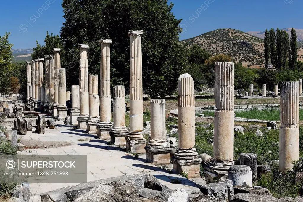 Peristyle at the Temple of Aphrodite, Aphrodisias, Geyre, Karacasu, Aydin, Western Turkey, Turkey, Asia
