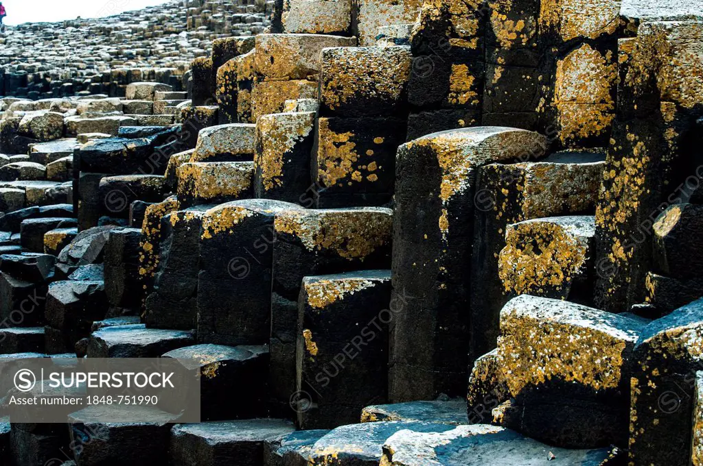 Basalt rocks, Giant Causeway, Coleraine, Northern Ireland, United Kingdom, Europe