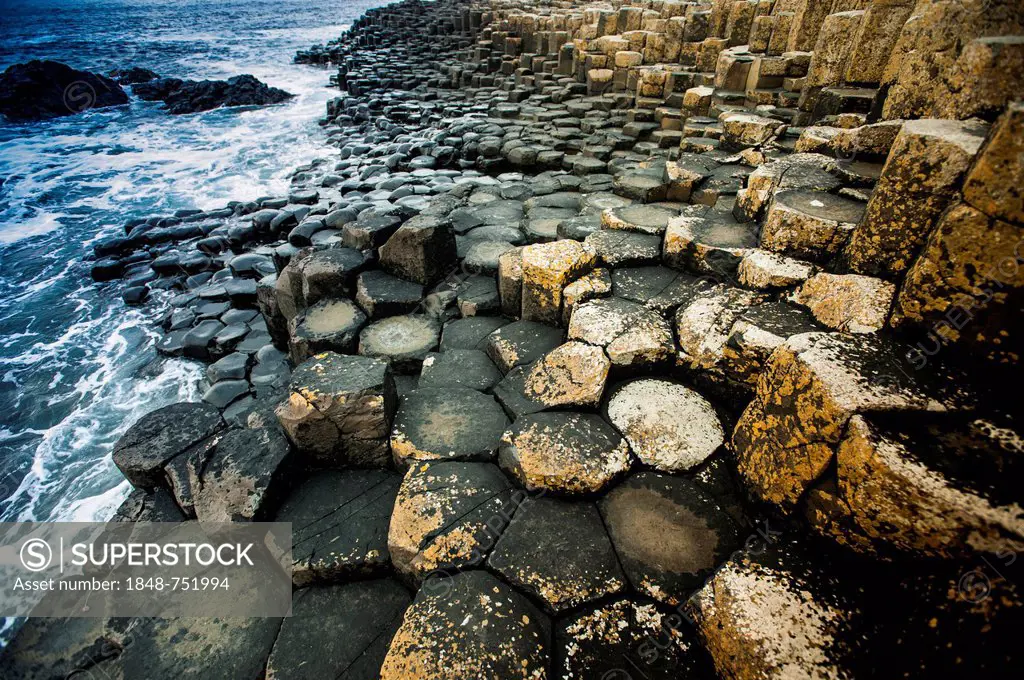 Basalt rocks, Giant Causeway, Coleraine, Northern Ireland, United Kingdom, Europe