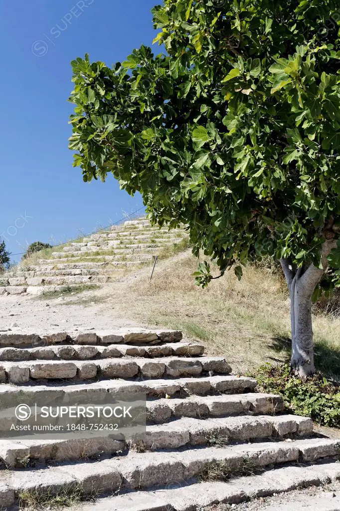 Stairs at Troy, Truva, Canakkale, Marmara, Turkey, Asia