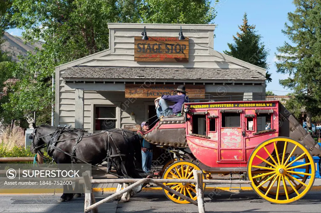 Two horses and coachman on an old stagecoach, Jackson Hole, Wyoming, Western United States, USA, United States of America, North America