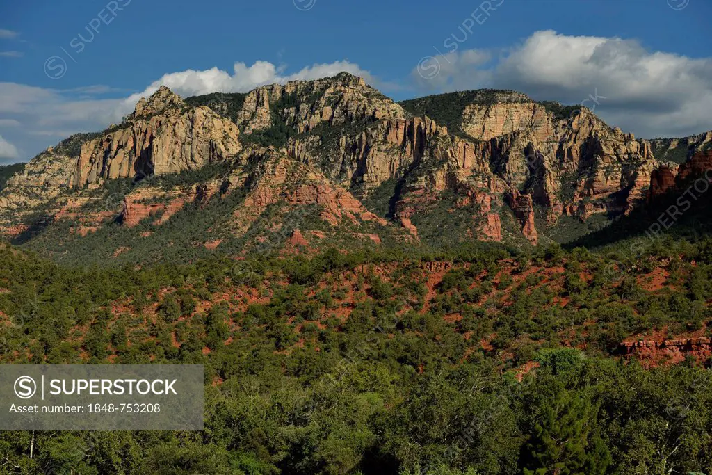 Red Rocks, Oak Creek Canyon, Sedona Arizona, Southwest, United States of America, USA