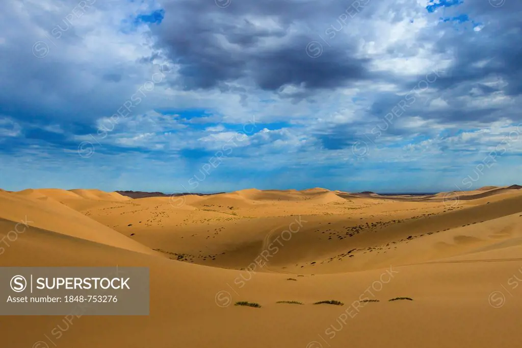 Namib Desert, Namib-Naukluft National Park, Namibia, Africa
