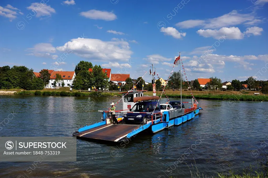 Wipfeld ferry with passengers on the Main river, behind the Fahr village, Wipfeld, Lower Franconia, Bavaria, Germany, Europe