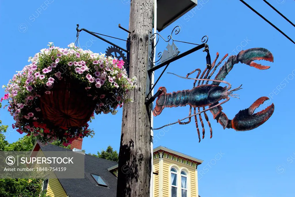 Hanging sign depicting lobster, Montague St., Lunenburg, Eastern Shore, Maritime Provinces, Nova Scotia, Canada