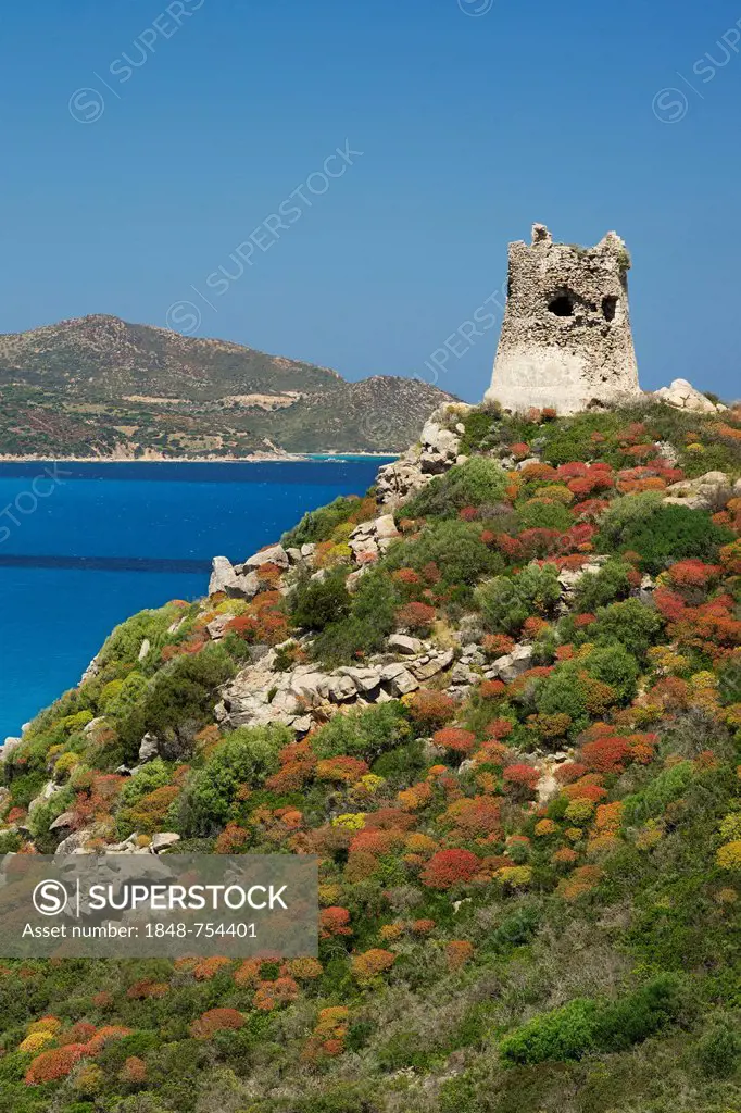 Ruins of the Saracen tower on the beach of Cala Porto Giunco, Capo Cabonara, Villasimius, Sarrabus, Province of Cagliari, Sardinia, Italy, Europe