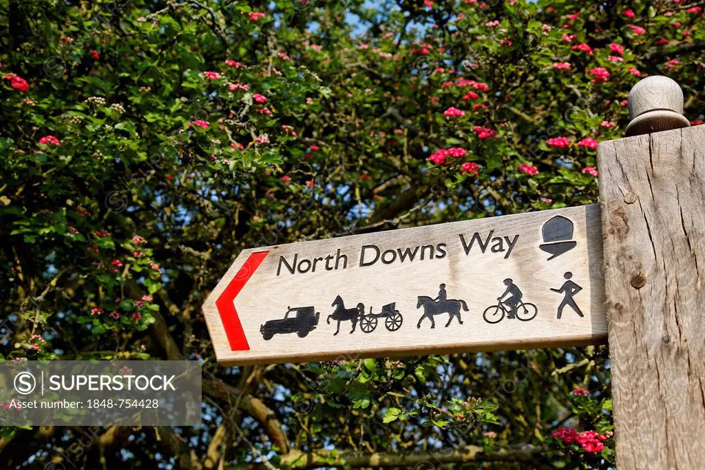 North Downs Way, start of the path into the city, Via Francigena, Canterbury, South East England, administrative county of Kent, England, United Kingd...