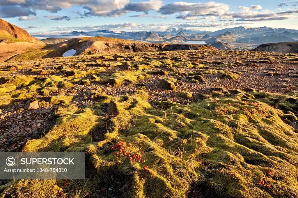 Moss landscape with Lake Álftavatn, Laugavegur, Iceland, Europe