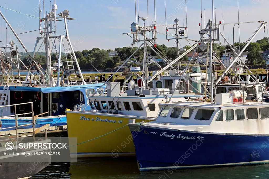 Fishing fleet at pier, Digby, Bay of Fundy, Maritime Provinces, Nova Scotia, Canada