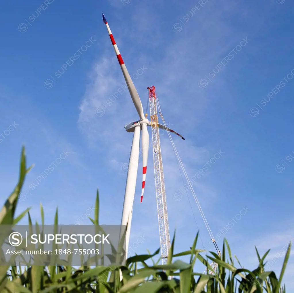 Construction of a wind turbine, type REpower MM92 by the company Arcor for EVN and Wien Energie, Glinzendorf wind farm, Marchfeld, Lower Austria, Aust...