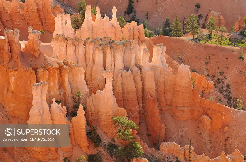 Rock formations and hoodoos at sunrise, Queens Garden Trail, Sunset Point, Bryce Canyon National Park, Utah, United States of America, USA