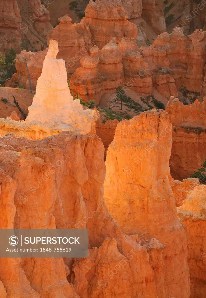 The Pope rock formation at sunrise, Sunset Point, Bryce Canyon National Park, Sunset Point, Utah, United States of America, USA