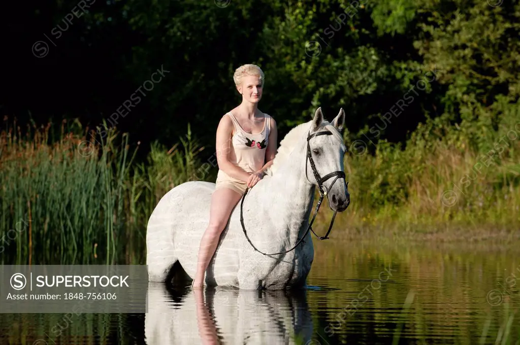 Young woman riding bareback on a Hanoverian horse through a lake