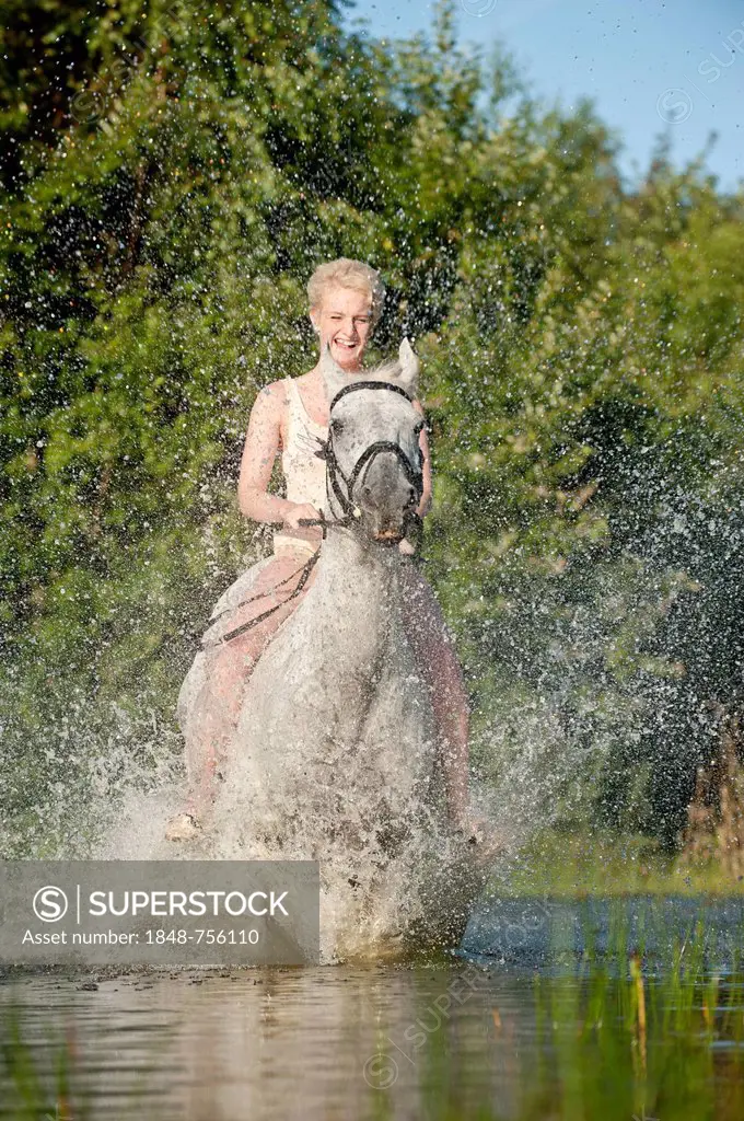 Young woman riding bareback on a Hanoverian horse through a lake