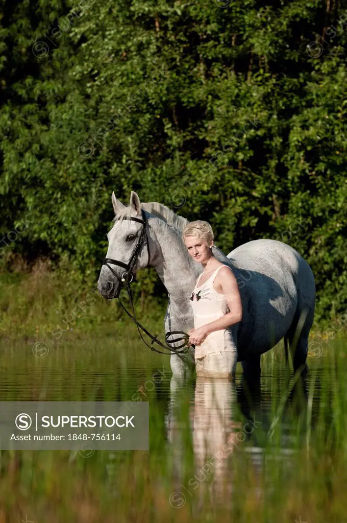 Young woman with a Hanoverian horse in a lake