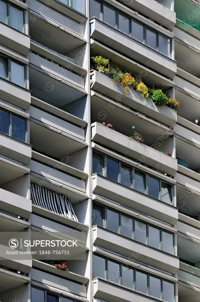 Plants on one of the balconies at the former Olympic Village, Munich, Bavaria, Germany, Europe
