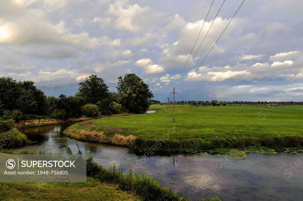 Tributary of the Warta river, Warta River Mouth National Park, Park Narodowy Ujscie Warty, Lubusz voivodeship, Poland, Europe