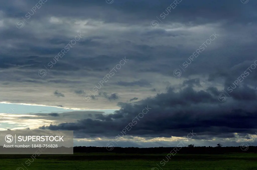 Landscape with a cloudy sky, Warta River Mouth National Park, Park Narodowy Ujscie Warty, Lubusz voivodeship, Poland, Europe