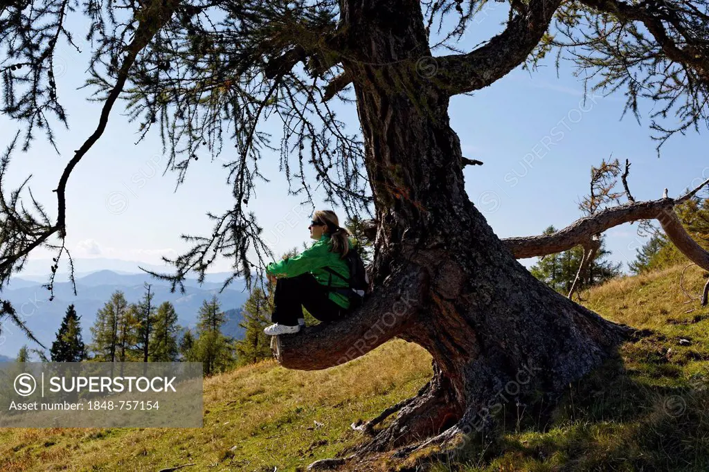 Female hiker sitting on a cut off branch, Buergeralm alp, Aflenz, Bruck an der Mur, Styria, Austria, Europe