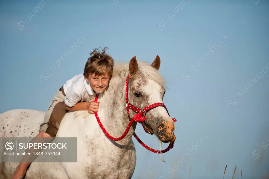 Girl riding a pony bareback