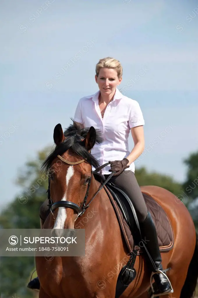Woman riding a Hanoverian horse