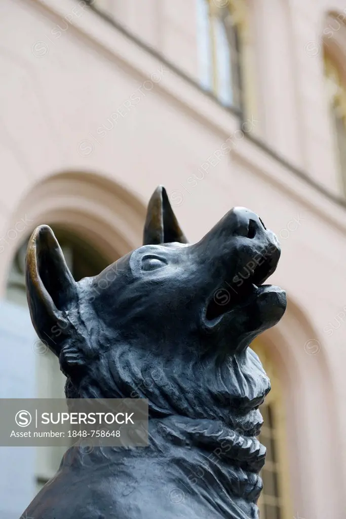 Wolfhound, sculpture in the entrance area, Jagdschloss Granitz hunting lodge, Ruegen Island, Baltic Sea, Mecklenburg-Western Pomerania, Germany, Europ...