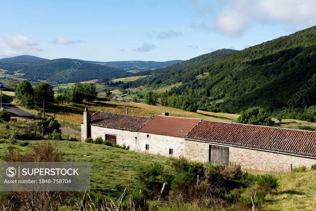 Landscape near village of Auvers, Gévaudan, Margeride mountains, Monts de la Margeride, Haute Loire, Auvergne, France, Europe