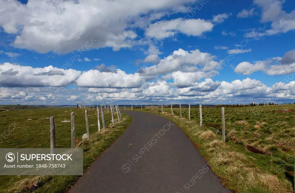 Road near Nasbinals, Aubrac, Lozere, Languedoc-Roussillon, France, Europe